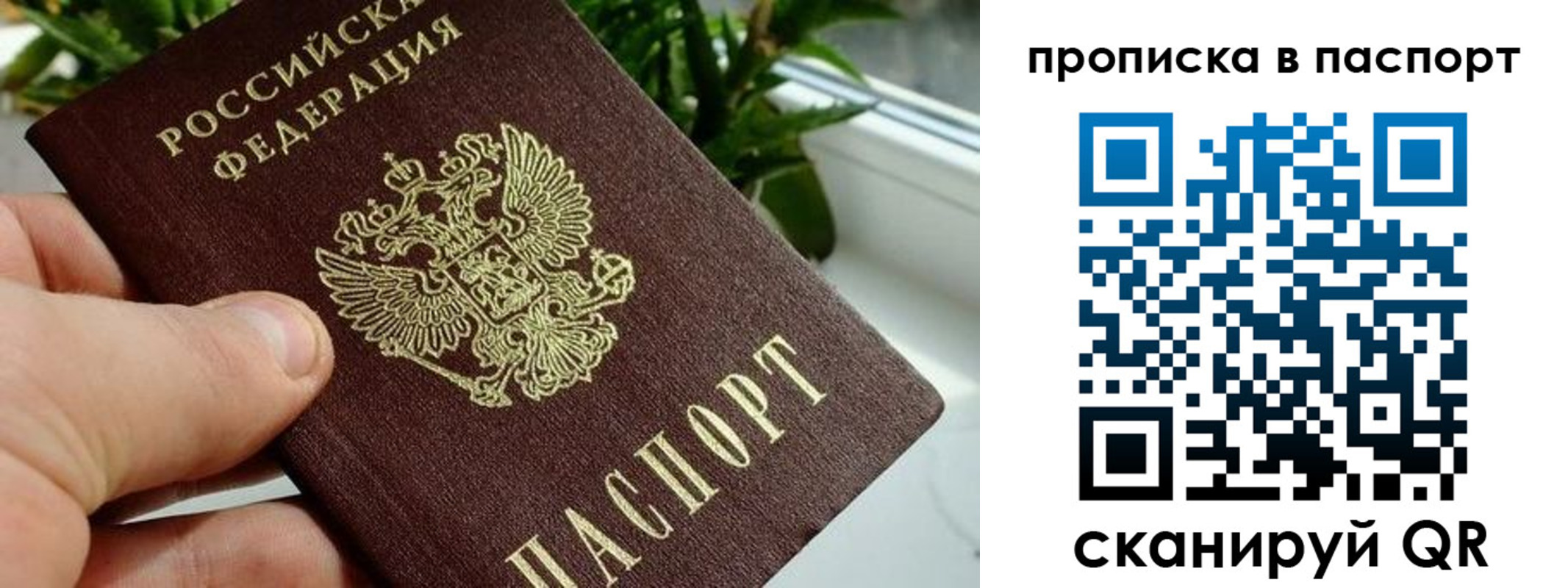 временная регистрация купить в Бийске